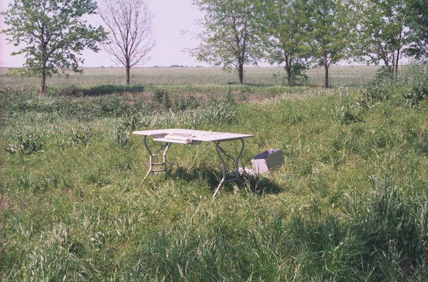 click for larger size