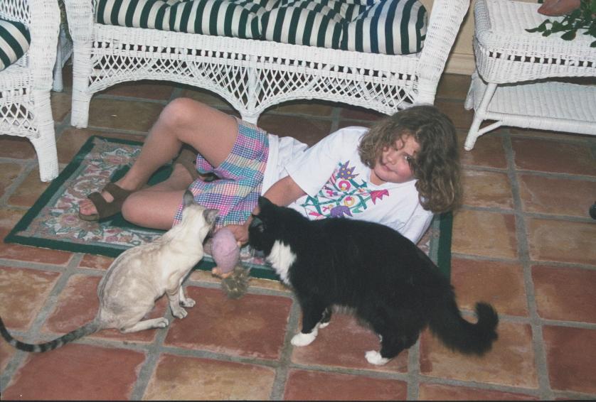 click for larger size