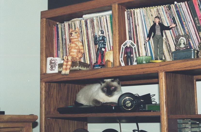 click for larger size