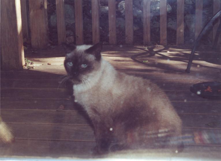 click for larger size