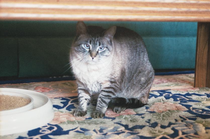 click for larger size