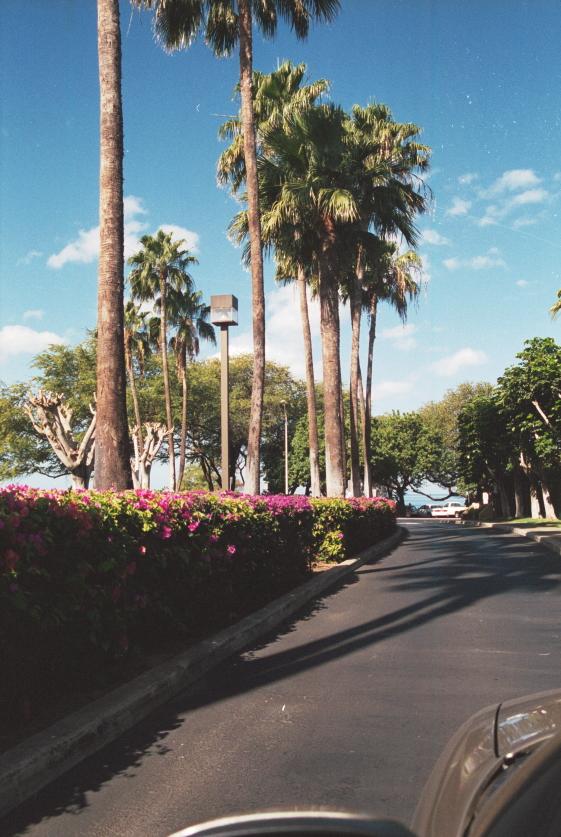 click for larger size