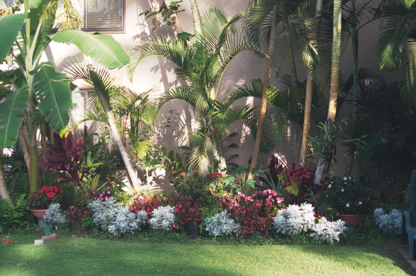 click for larger size