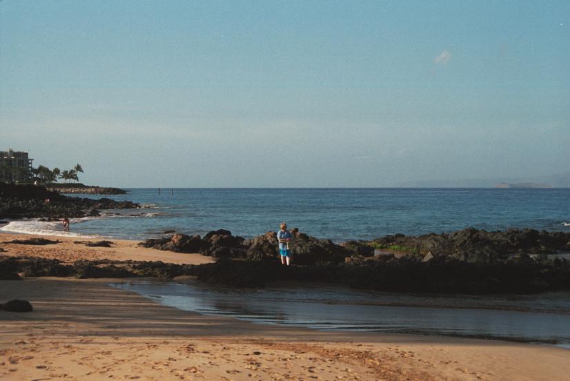 click for larger size