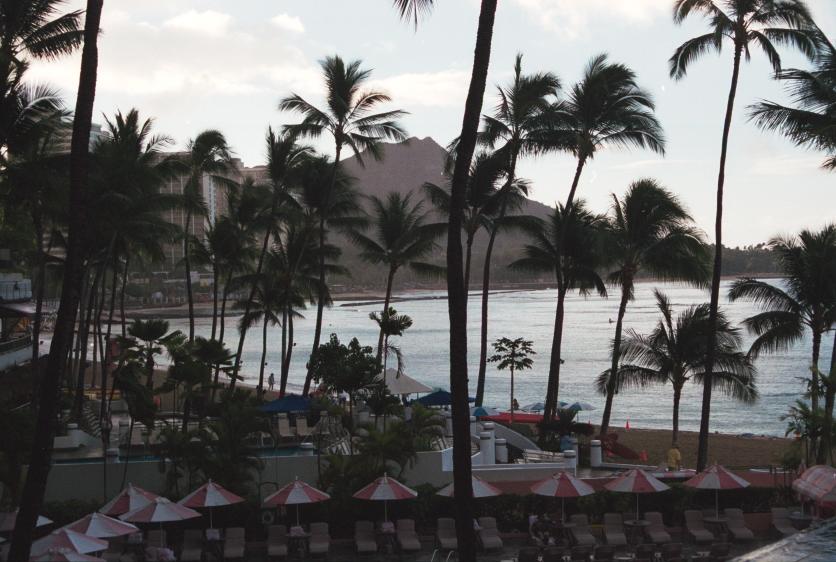 click for larger size