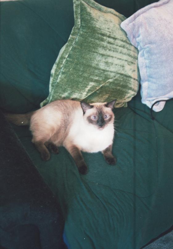 click for larger size