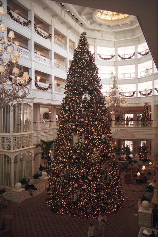 click for larger size