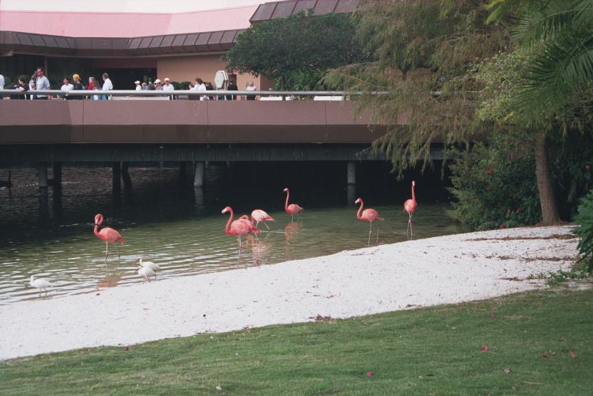 click for larger size