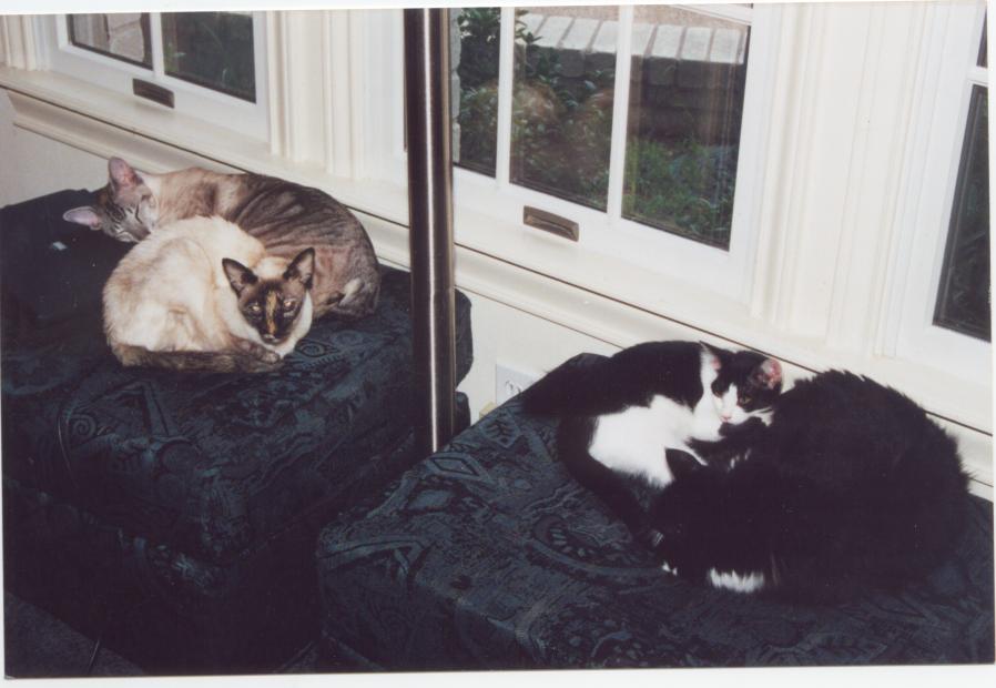 click for larger size