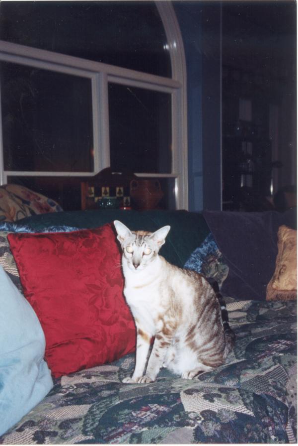 click for larger size