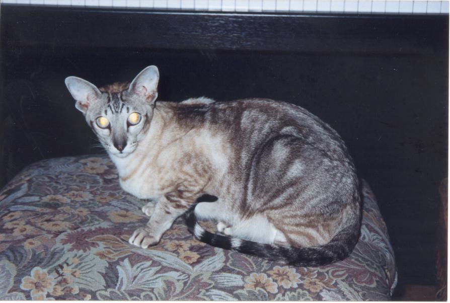 click for larger size