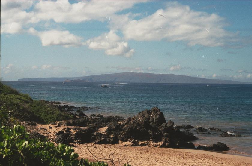 click for larger size