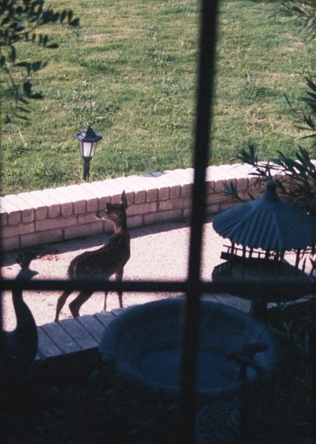 click for larger size