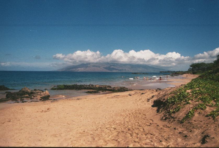 click for larger size