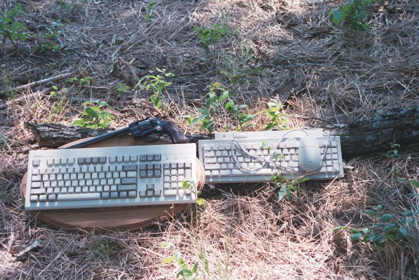 click for larger size