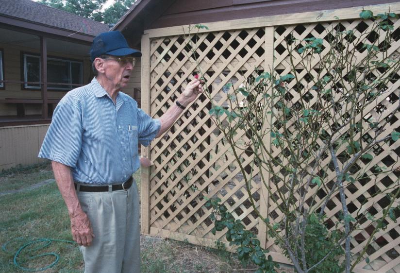 click for larger size