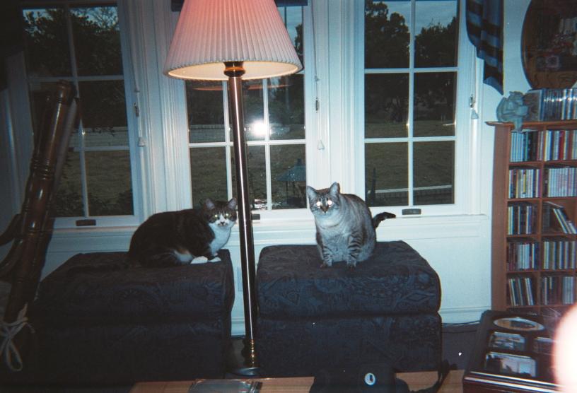 click for larger size