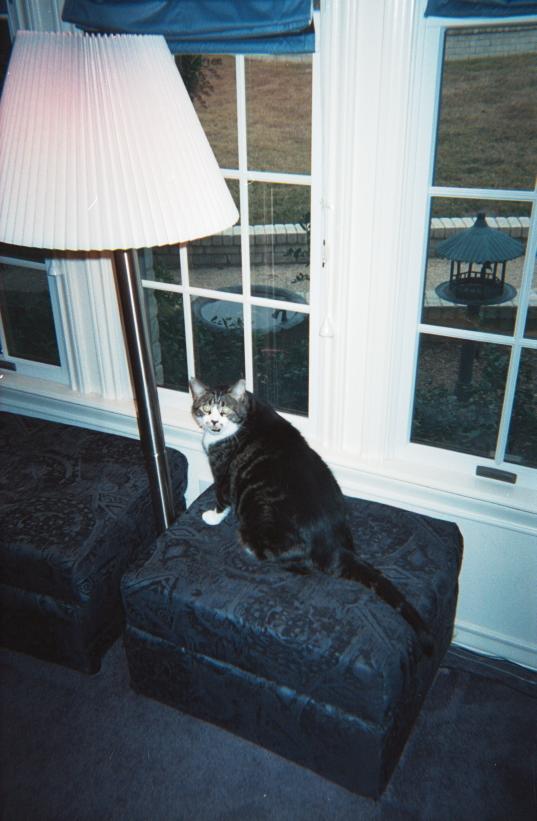 click for larger size