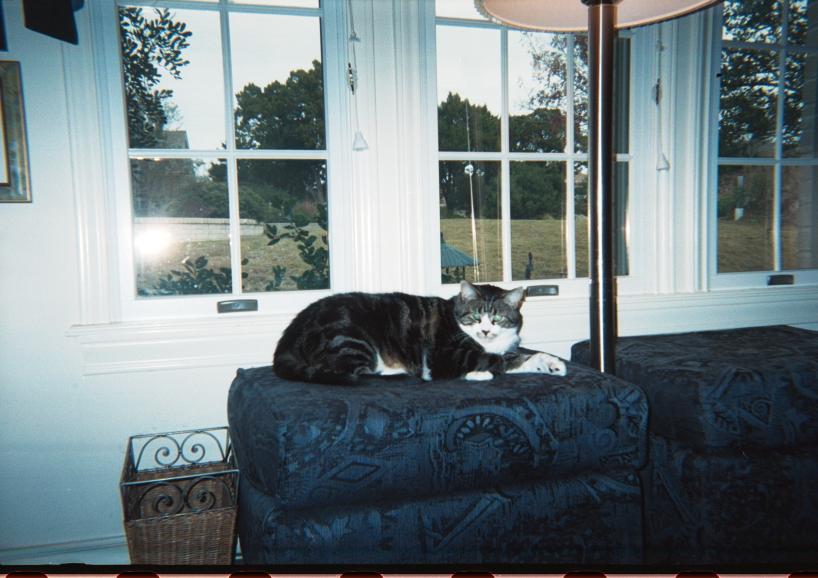 click for larger size