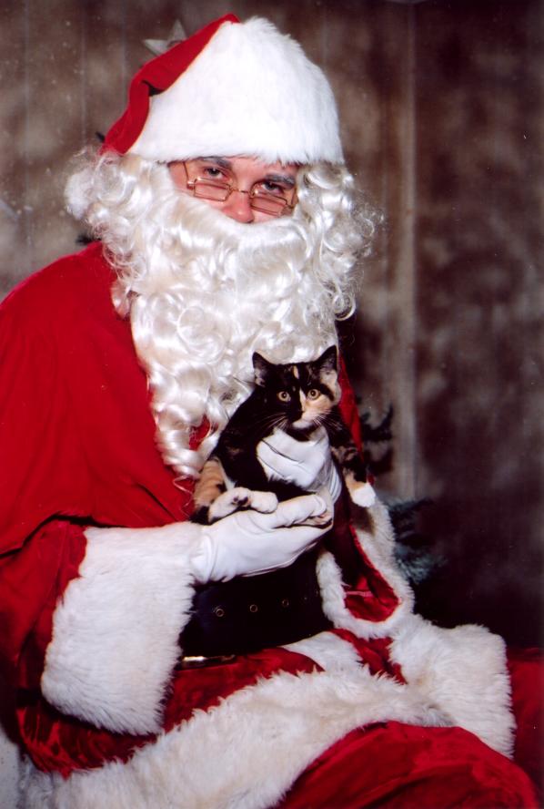 click for larger size