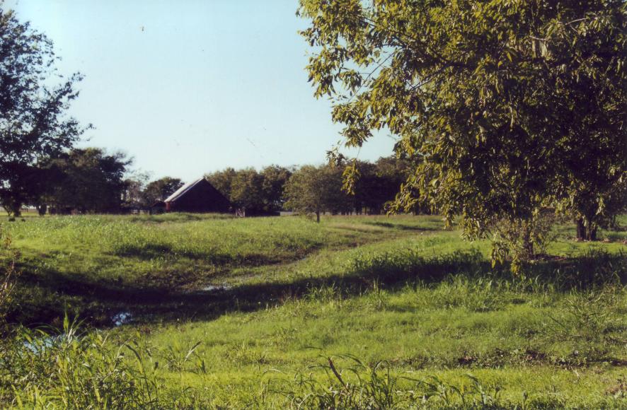 click for larger size