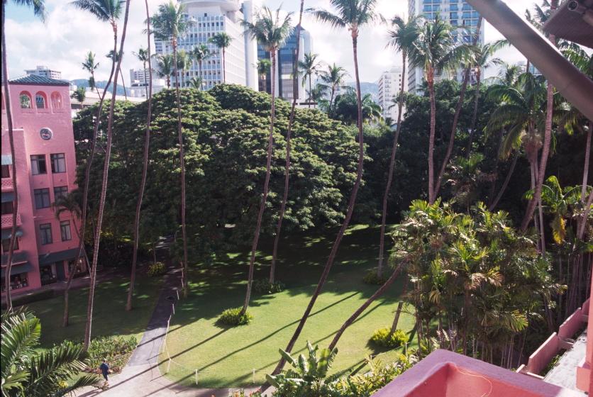 click for larger size