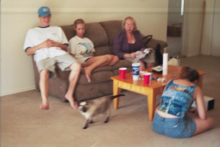 click for larger size