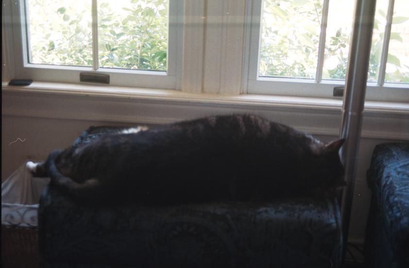 click for larger size