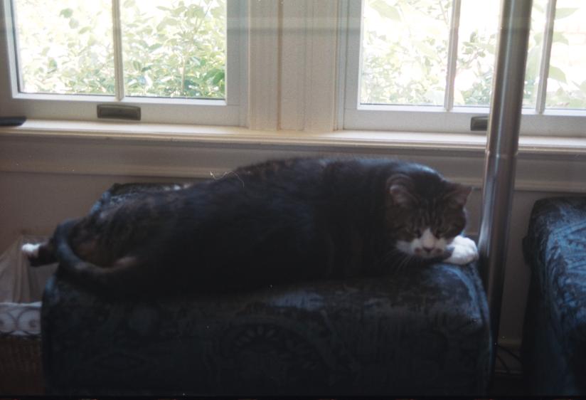 click for larger size