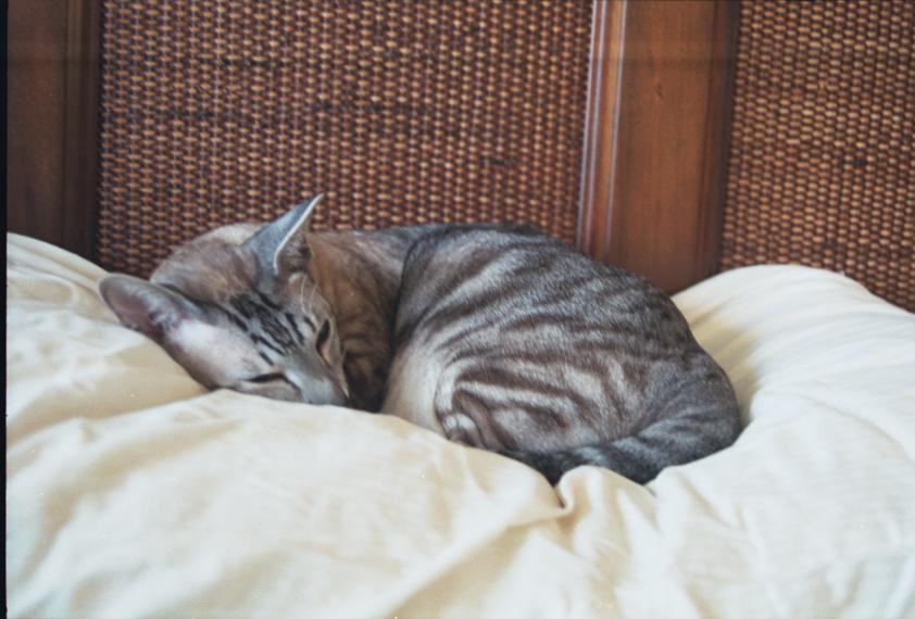 click for larger size