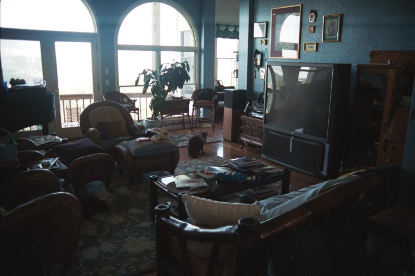 click for larger size