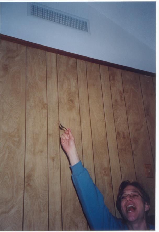 click for larger size