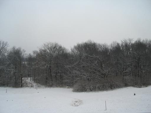 click for larger size