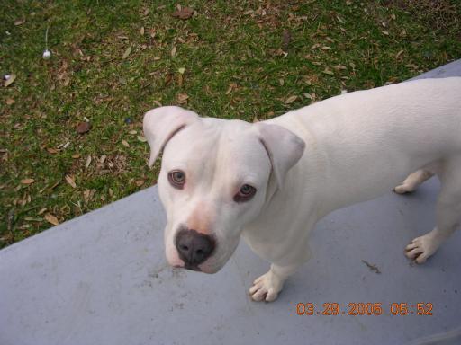 click for larger size