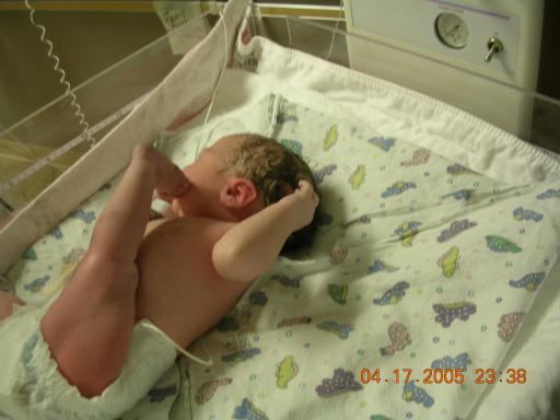 click for larger size