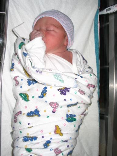 click for larger size