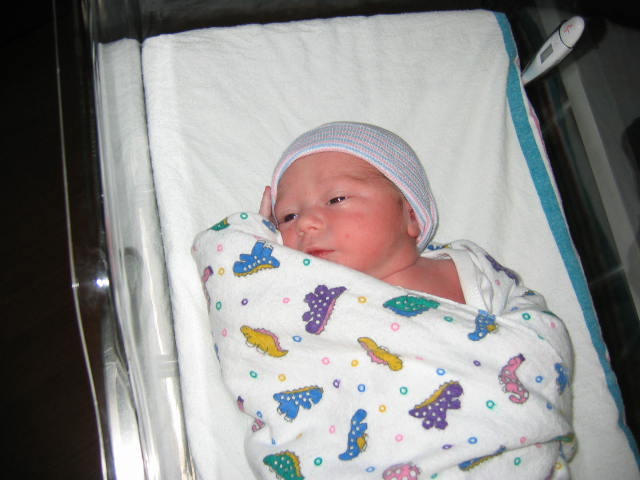 click for larger size