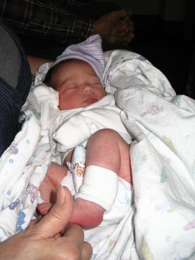 click for larger size