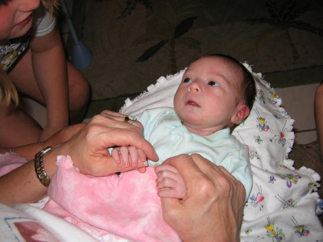 click for larger size