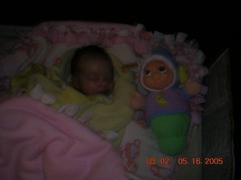 click for larger size