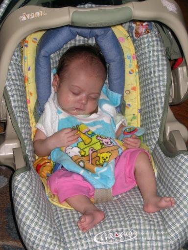 click for larger size