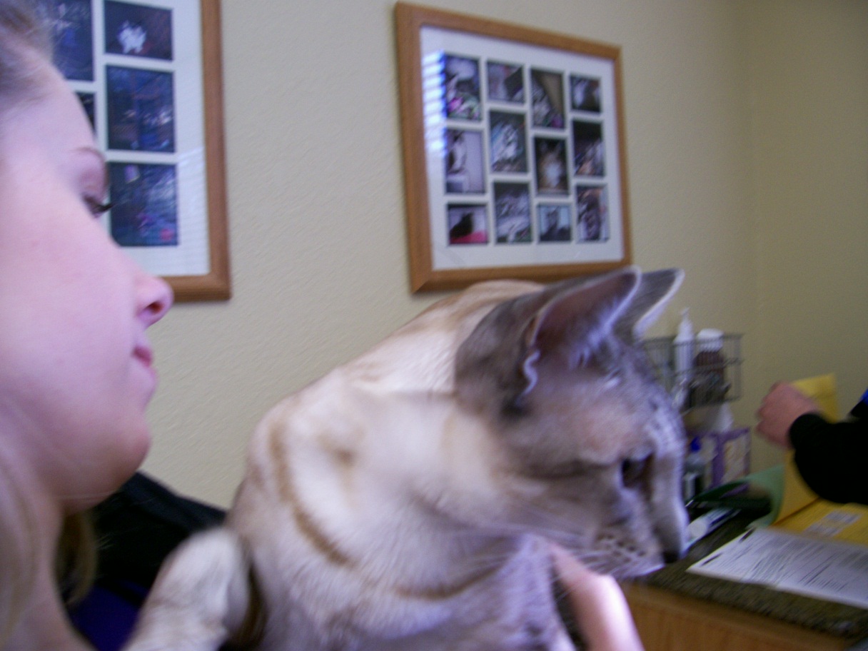 click for larger size