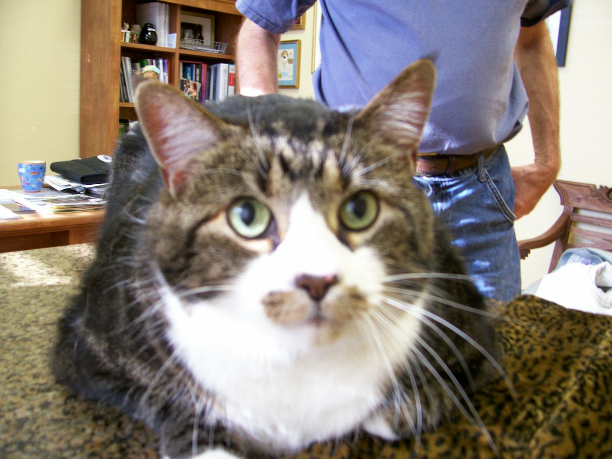 click for larger size