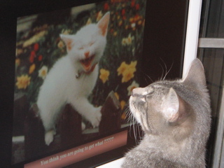 click for larger size