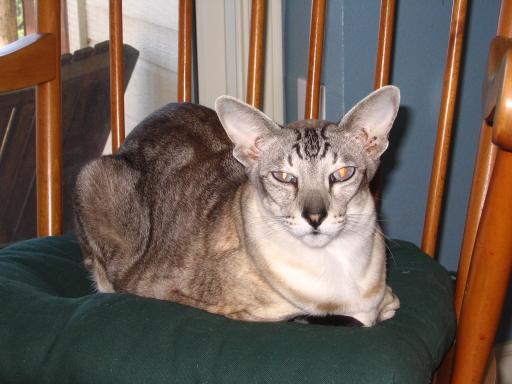 click for larger size