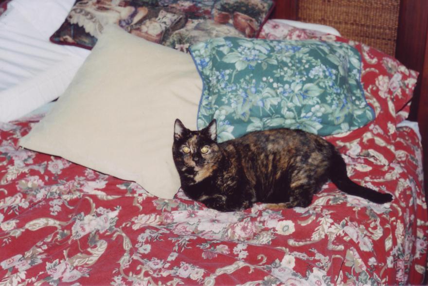 click for larger size