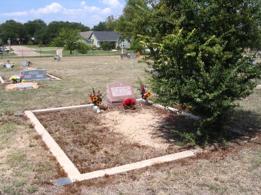 click for larger size