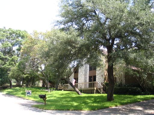 click for larger size