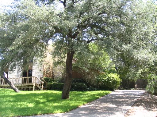 click for larger size