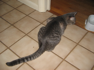 click for larger size